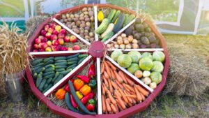Carro nell'orto con frutta e verdura del mese: cavolo, cetrioli, pesche, patate, peperoni